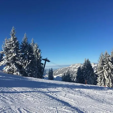 Waeldle - Waeldle 1 Und Waeldle 2 Mit Motorradvermietung Apartmán Balderschwang