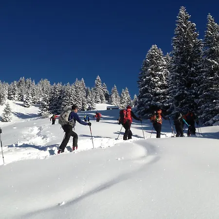 Waeldle - Waeldle 1 Und Waeldle 2 Mit Motorradvermietung Apartmán Balderschwang