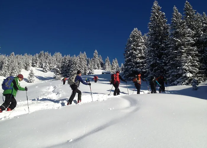 Waeldle - Waeldle 1 Und Waeldle 2 Mit Motorradvermietung Daire Balderschwang