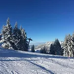 Waeldle - Waeldle 1 Und Waeldle 2 Mit Motorradvermietung Lejlighed Balderschwang